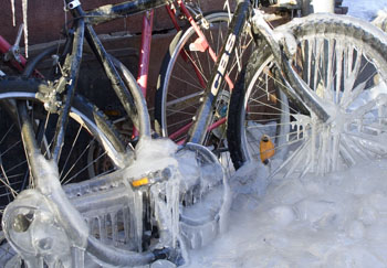Cyklar i vinteride.jpg